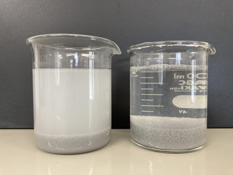 IMG_1869-6002Lx500ppm